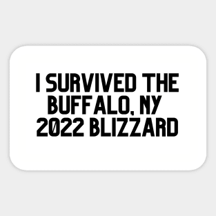 I SURVIVED THE BUFFALO NY 2022  BLIZZARD Sticker